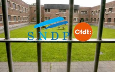 Elections Professionnelles : profession de foi SNDP CFDT scrutin DPIP n°18